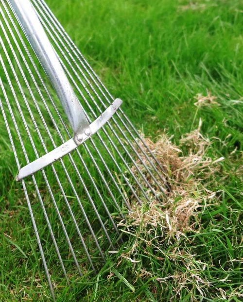 Dethatching Services at Plymouth Lawncare