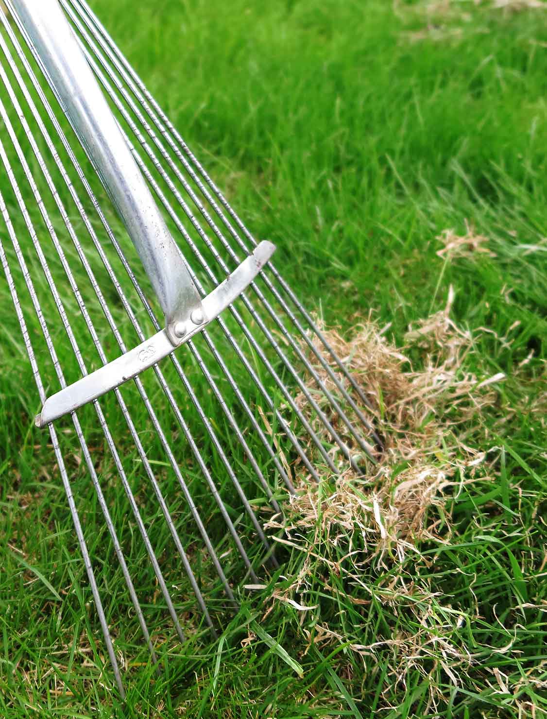 Dethatching Services at Plymouth Lawncare